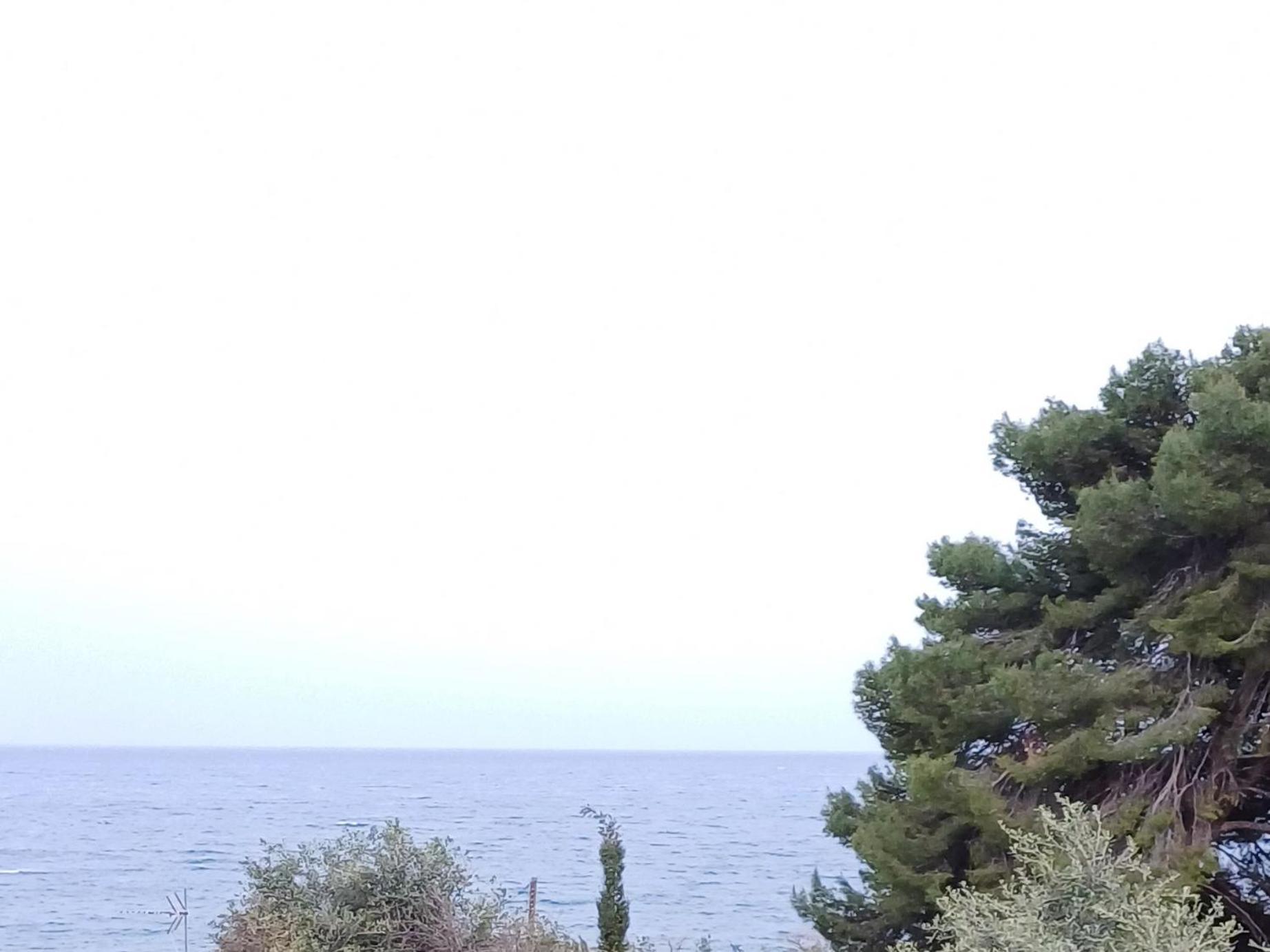 Flora Studios Corfu - Adults Only เวนิทเซส ห้อง รูปภาพ